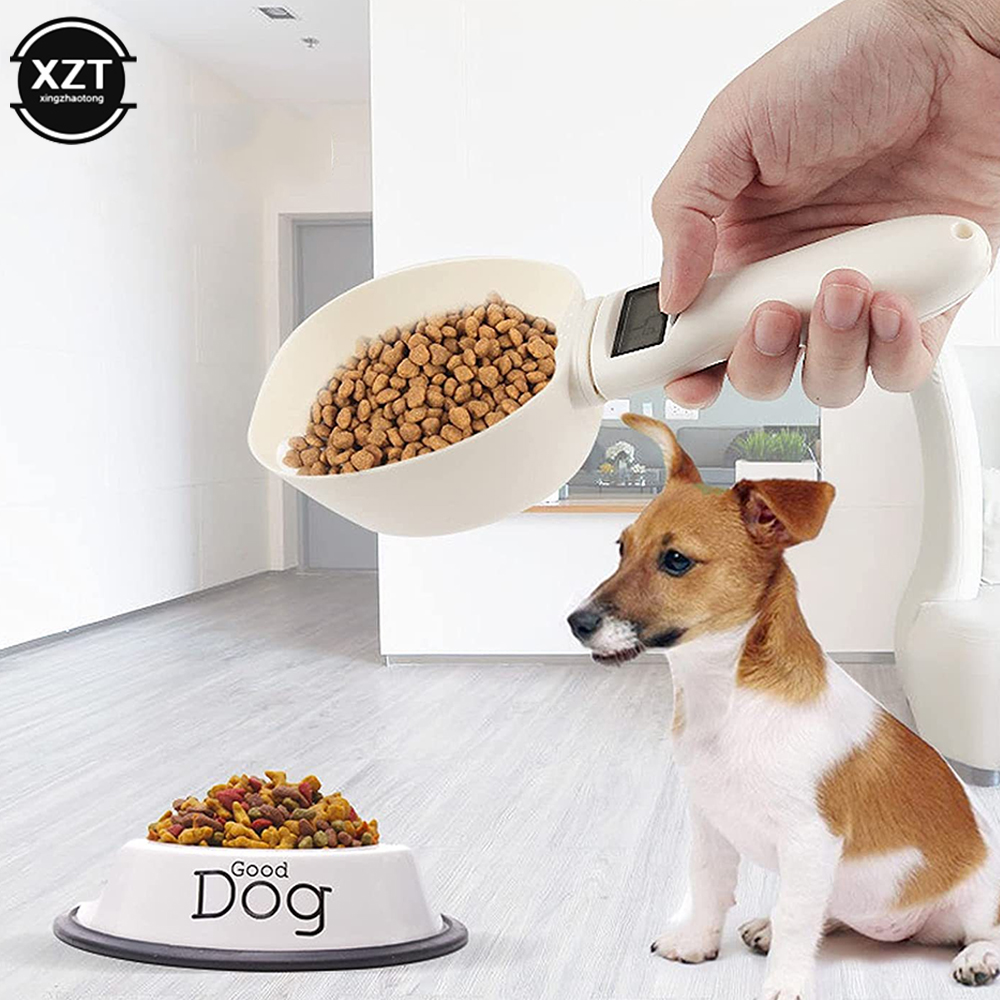 Kitchen Gadgets Under 500 - Bilancia di grandi dimensioni Cucchiaio da